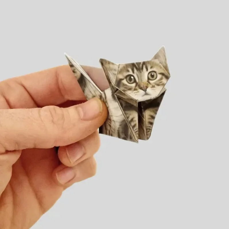 Creative DIY Paper Cats 50 She - огляд і ціна Art Craft Cat