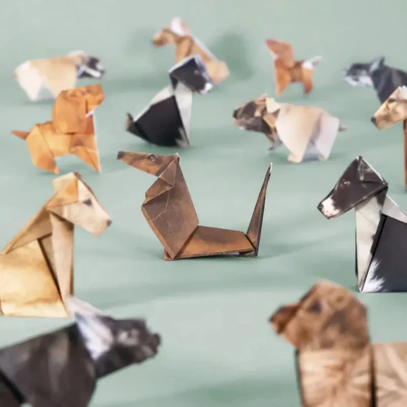 Creative DIY Paper Cats 50 She - огляд і ціна Art Craft Cat