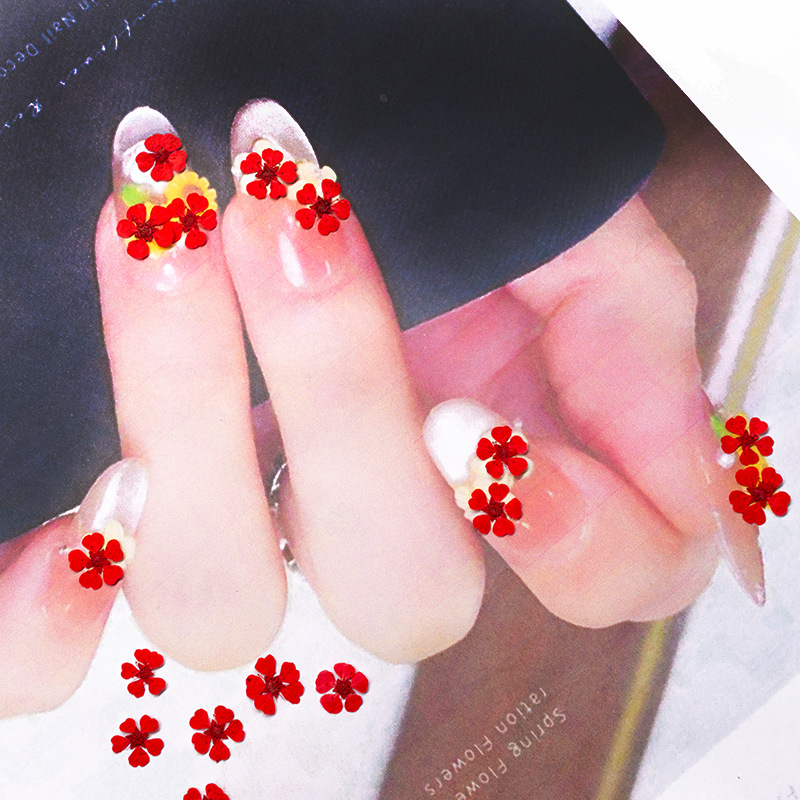 96Pcs Mini 1.5cm Natural Press - огляд і ціна Art And Craft Photos